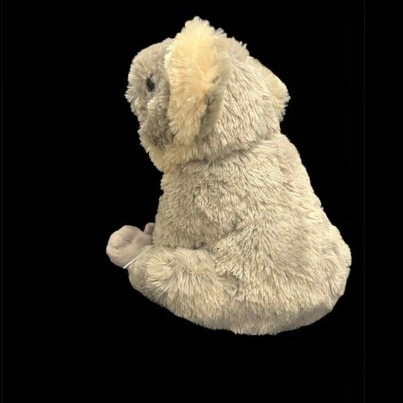 Plush Koala Bear - Picture 3 of 4